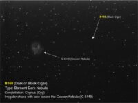 B168-DN-Cyg (Black Cigar)