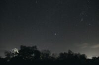 Canis Major (The Great Dog)