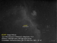 IC2177-BNe-Mon (Seagull Nebula)