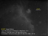 IC2177-BNe-Mon (Seagull Nebula)