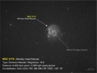 NGC2174-BNe-Ori (Monkey Head)