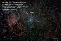NGC7000-BNe-Cyg (North America)