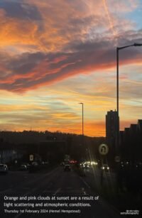 Orange & pink clouds