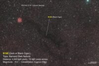 B168-DN-Cep (Black Cigar) DR5