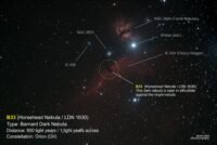 B33(Horsehead Nebula)-DN-Ori