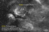 IC1318 – The Butterfly Nebula