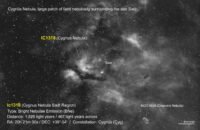 Sadr Region & NGC 6888