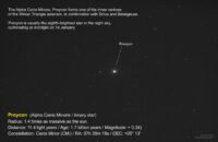 Procyon-Sr-CMi (220113-0206) DR5