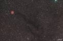 B168 (Black Cigar)