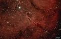 IC 1396A (Elephant's Truck)
