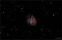 M1 (Crab Nebula)