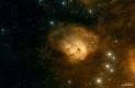IC 410 (Tadpole Nebula)